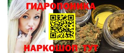дмт Канаш