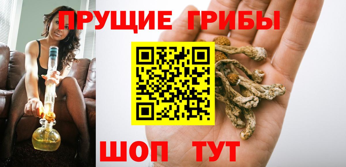 купить наркотики цена  Вход с VPN  Бузулук  Галлюциногенные грибы Psilocybine cubensis 